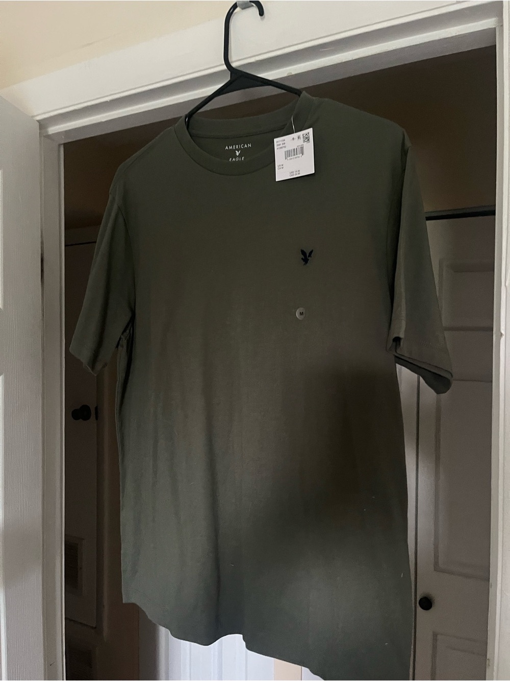 American Eagle Outfitters Men's Green Crewneck T‑Shirt